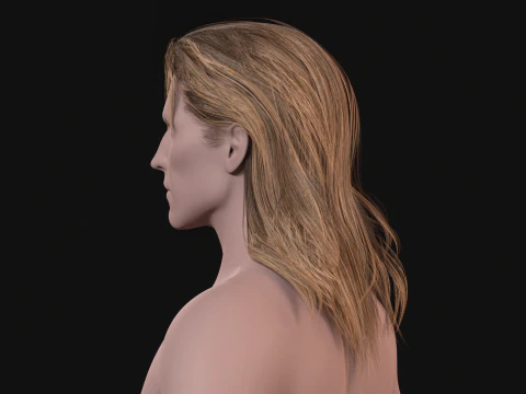 24LongManWoman Hair 3D Model