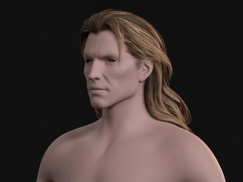 24LongManWoman Hair 3D Model