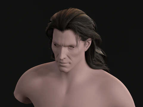 24LongManWoman Hair 3D Model