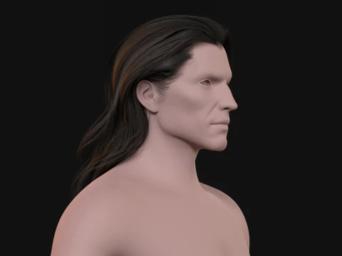 24LongManWoman Hair 3D Model