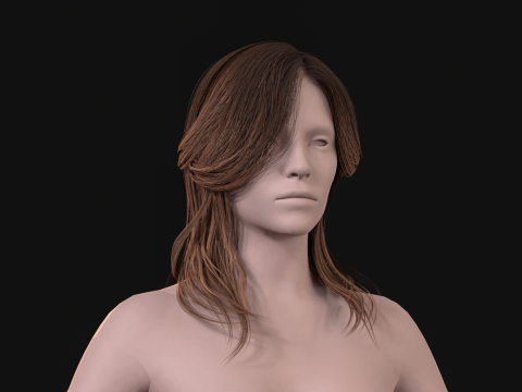 25. Женщина Лонг Каре 3D Модель
