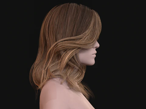 26Woman Long Kare2 3D Model