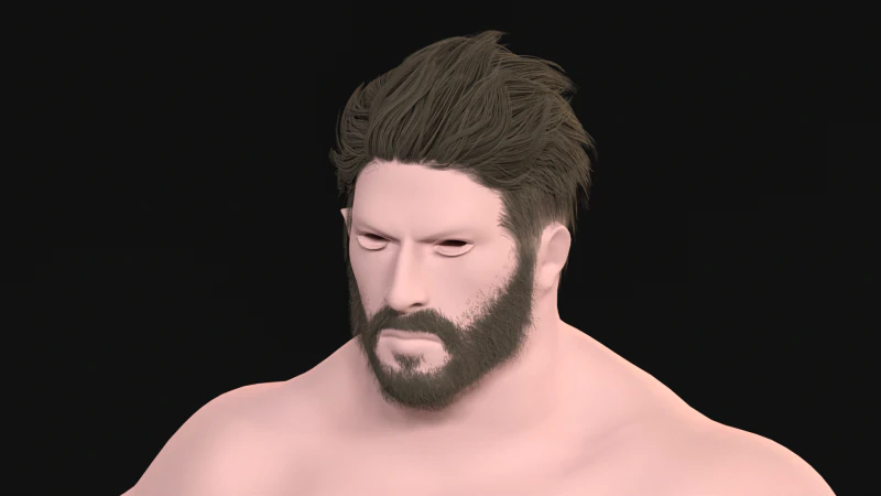 27 Pirate Hair Beard 3D Model .c4d .max .obj .3ds .fbx .stl .blend 