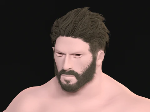 27 Korsan Sa&ccedil; Sakal 3D Model