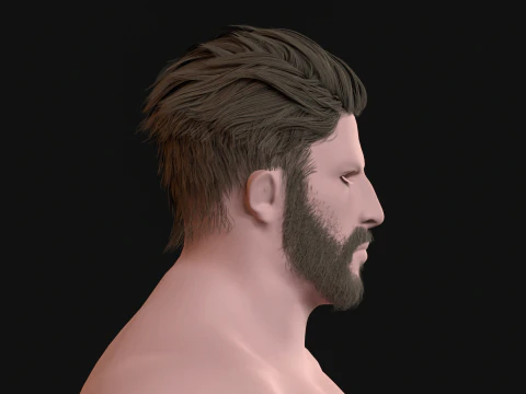 27 Pirate Hair Beard 3D Model