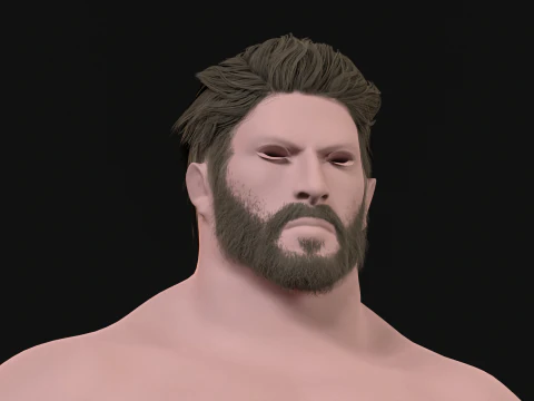 27 Pirate Hair Beard 3D Model