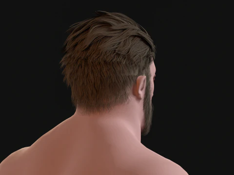 27 Pirate Hair Beard 3D Model