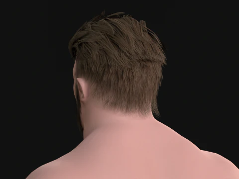 27 Pirate Hair Beard 3D Model