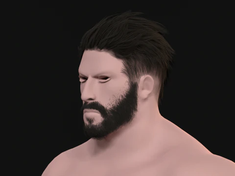27 Pirate Hair Beard 3D Model