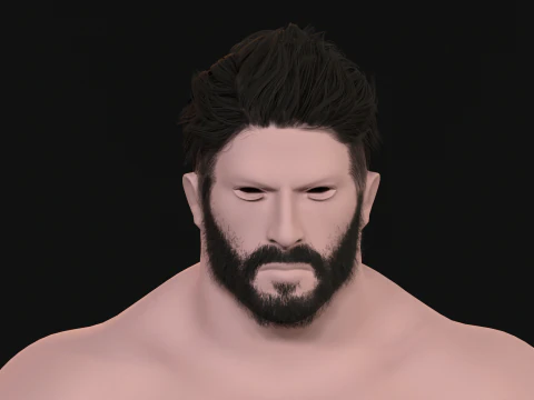 27 Pirate Hair Beard 3D Model