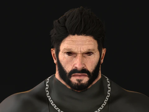 27 Pirate Hair Beard 3D Model