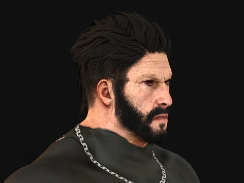 27 Pirate Hair Beard 3D Model