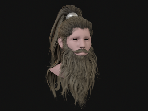 28Cheveux Barbe Queue Modèle 3D