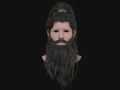 28Hair Beard Tail 3D Model
