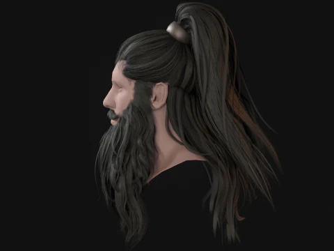 28Hair Beard Tail 3D Model