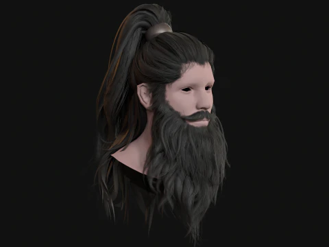 28Hair Beard Tail 3D Model