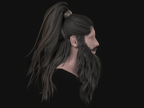 28Hair Beard Tail 3D Model