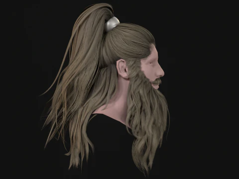 28Hair Beard Tail 3D Model