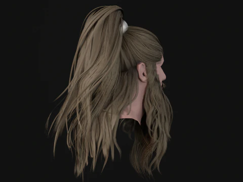 28Hair Beard Tail 3D Model