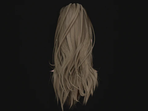 28Hair Beard Tail 3D Model