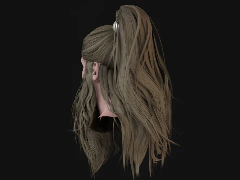 28Hair Beard Tail 3D Model