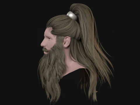 28Hair Beard Tail 3D Model