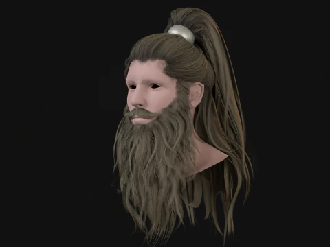 28Hair Beard Tail 3D Model