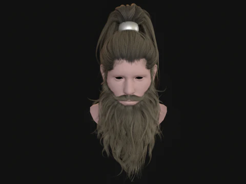 28Hair Beard Tail 3D Model