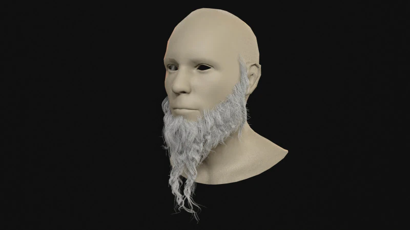 29Orc Beard 3D Model .c4d .max .obj .3ds .fbx .stl .blend 