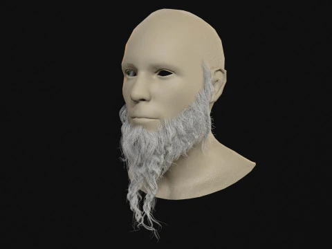 29Barba dell'Orco Modello 3D