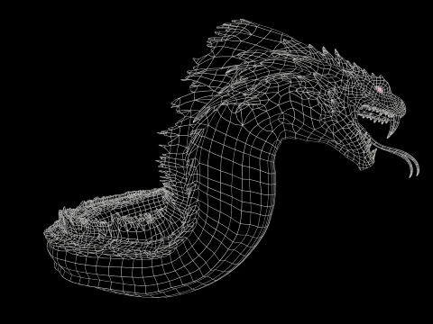 SeaDragon 3D Model