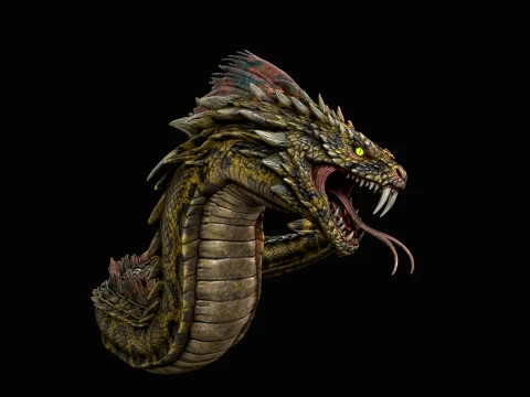 SeaDragon 3D Model