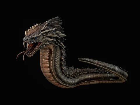 SeaDragon 3D Model