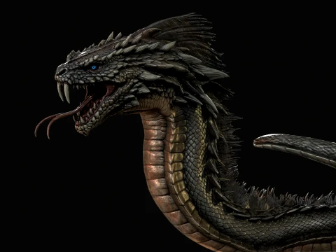 SeaDragon 3D Model