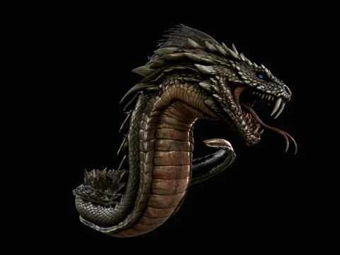 SeaDragon 3D Model