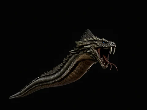 SeaDragon 3D Model
