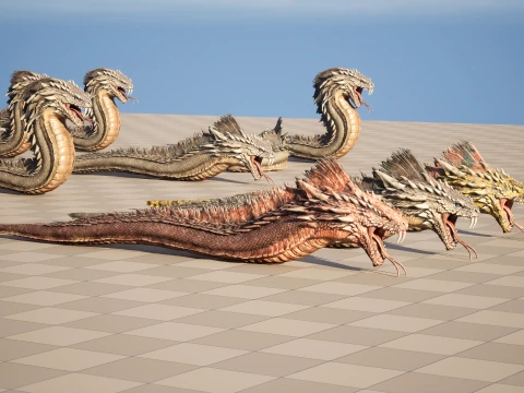 SeaDragon 3D Model