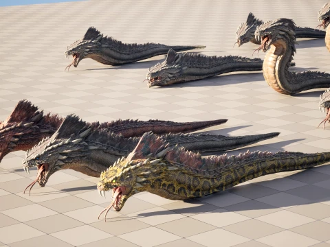 SeaDragon 3D Model