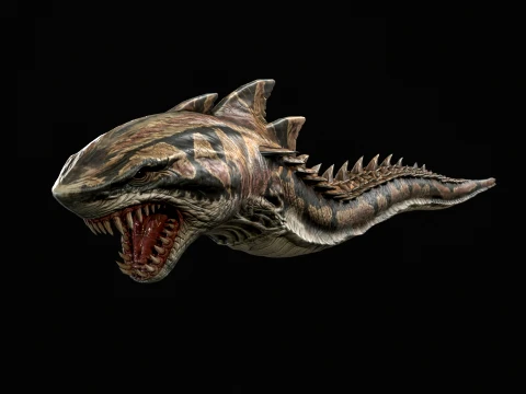 SharkM 3D Model