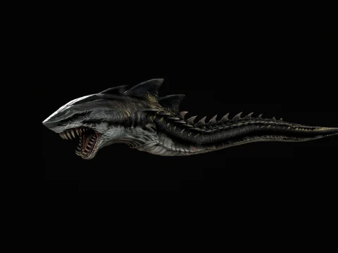 SharkM 3D Model