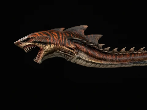 SharkM 3D Model