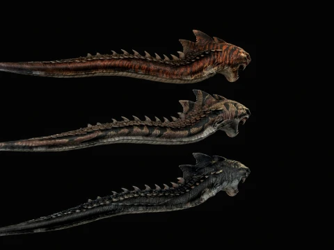 SharkM 3D Model