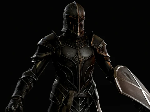 Dark Knight NPC Three 3D Model