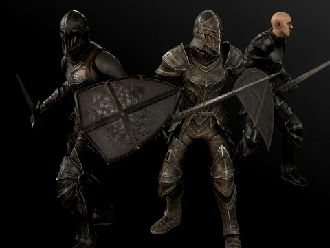 Dark Knight NPC Three 3D Model