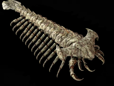 Giant Sea Centipede 3D Model