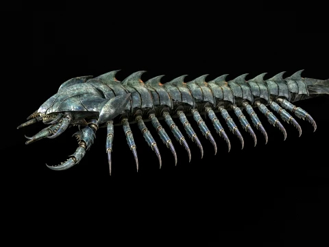 Giant Sea Centipede 3D Model
