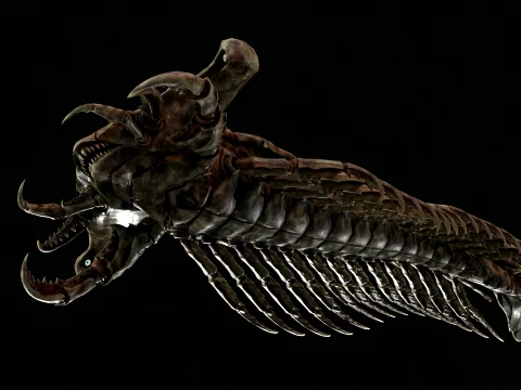 Giant Sea Centipede 3D Model