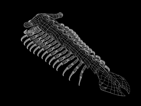 Giant Sea Centipede 3D Model
