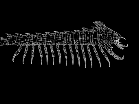 Giant Sea Centipede 3D Model