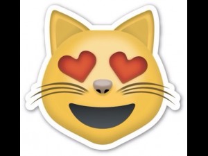 emoji cookies- pie cat ghost ok vjik3d 3D Print Model